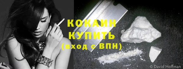 сатива Арсеньев