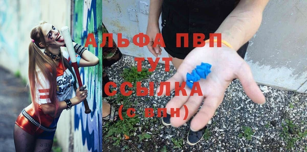 сатива Арсеньев