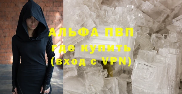сатива Арсеньев