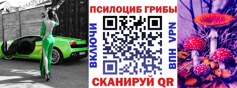 Галлюциногенные грибы Psilocybe  blacksprut ссылки  Городище 